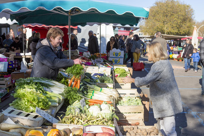 Marché de Merville à Lorient