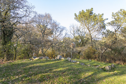 Le site mégalithiques de Mané Bogad à Ploemel