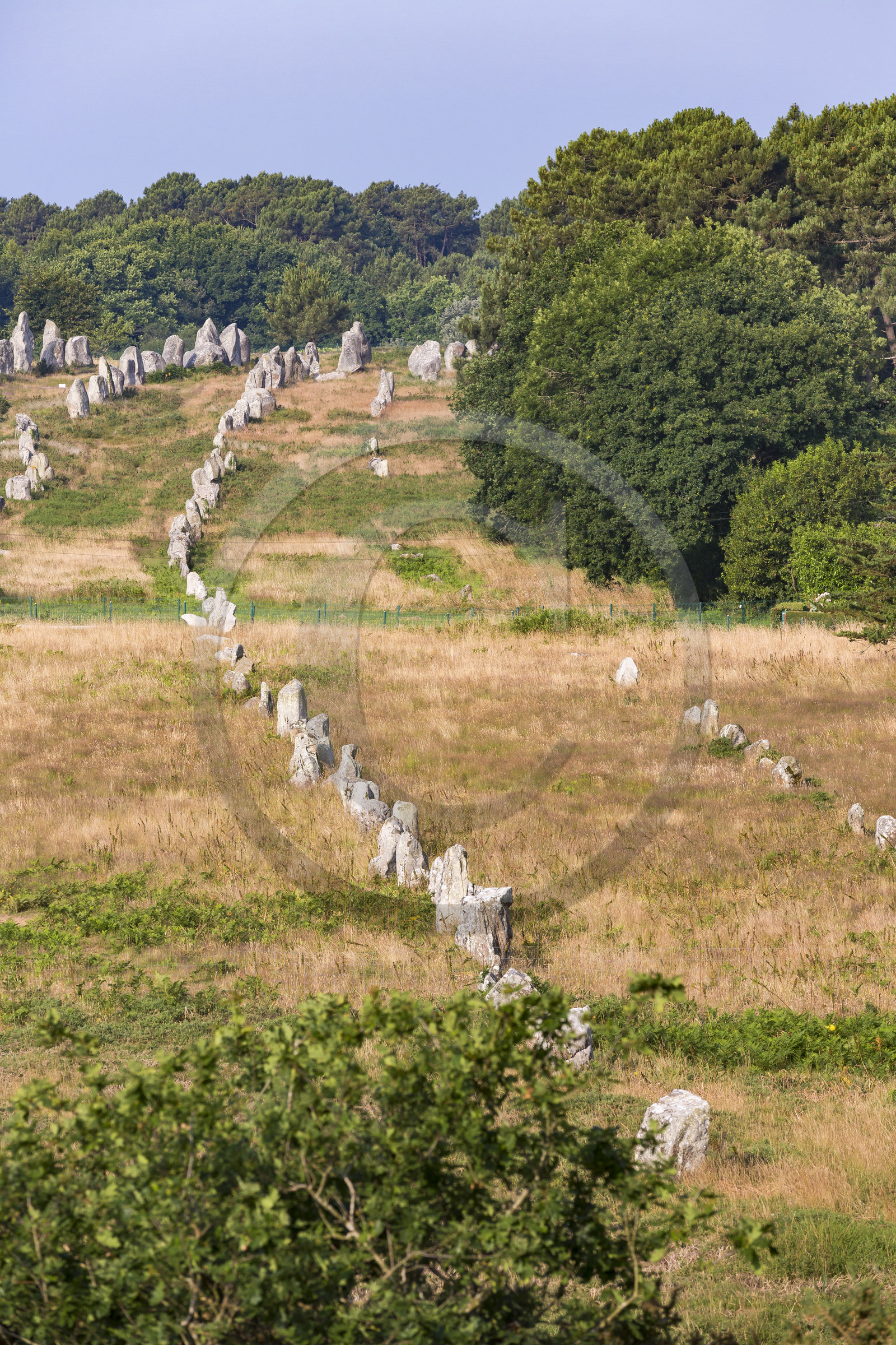 Les alignements de Kermario _ Carnac
