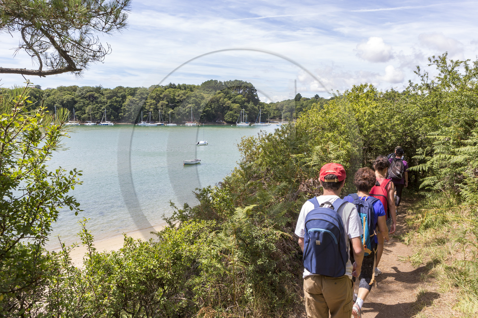 Balade au bord de la rivière Laïta _ Guidel