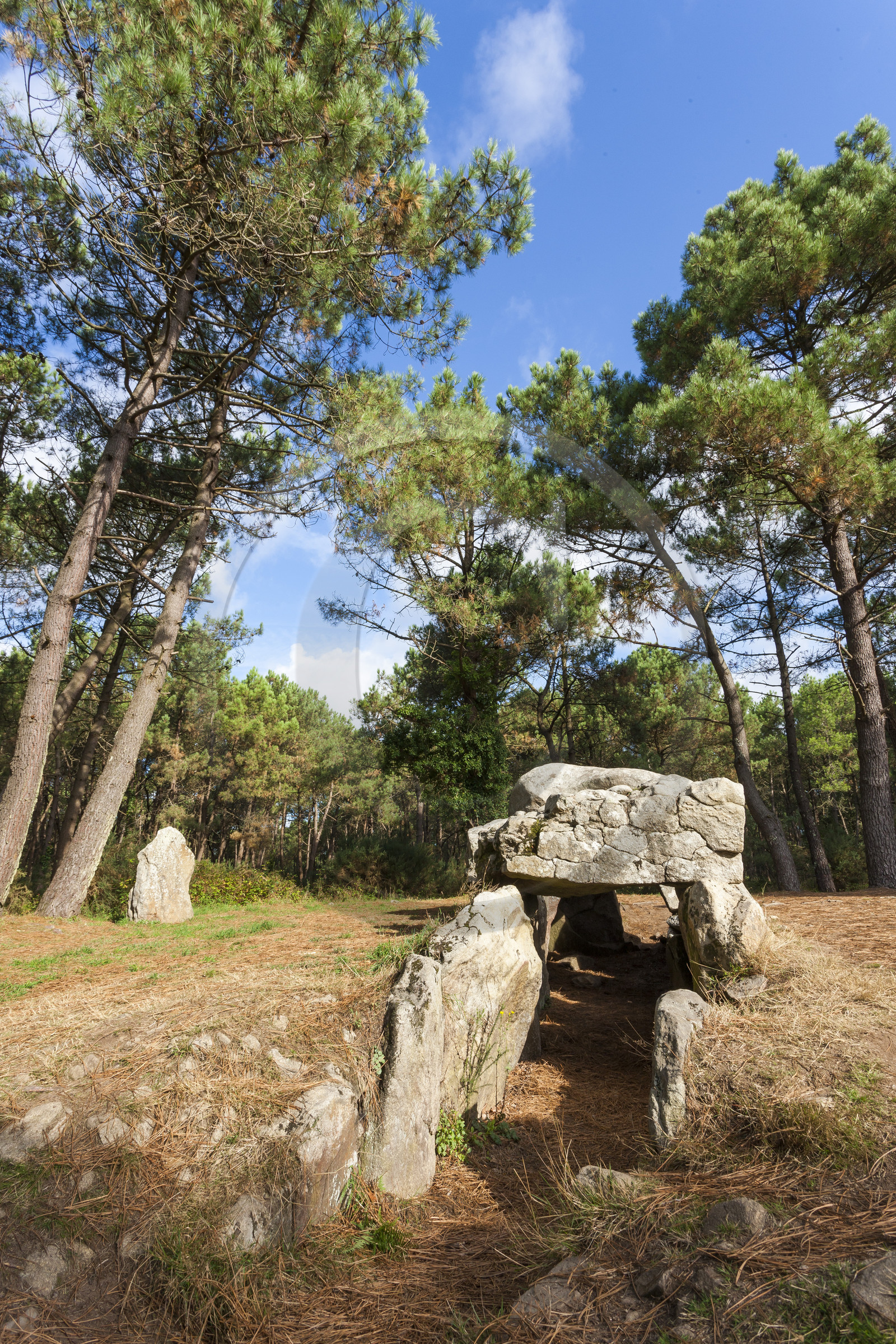 Les dolmens de Mané-Kerioned à Carnac