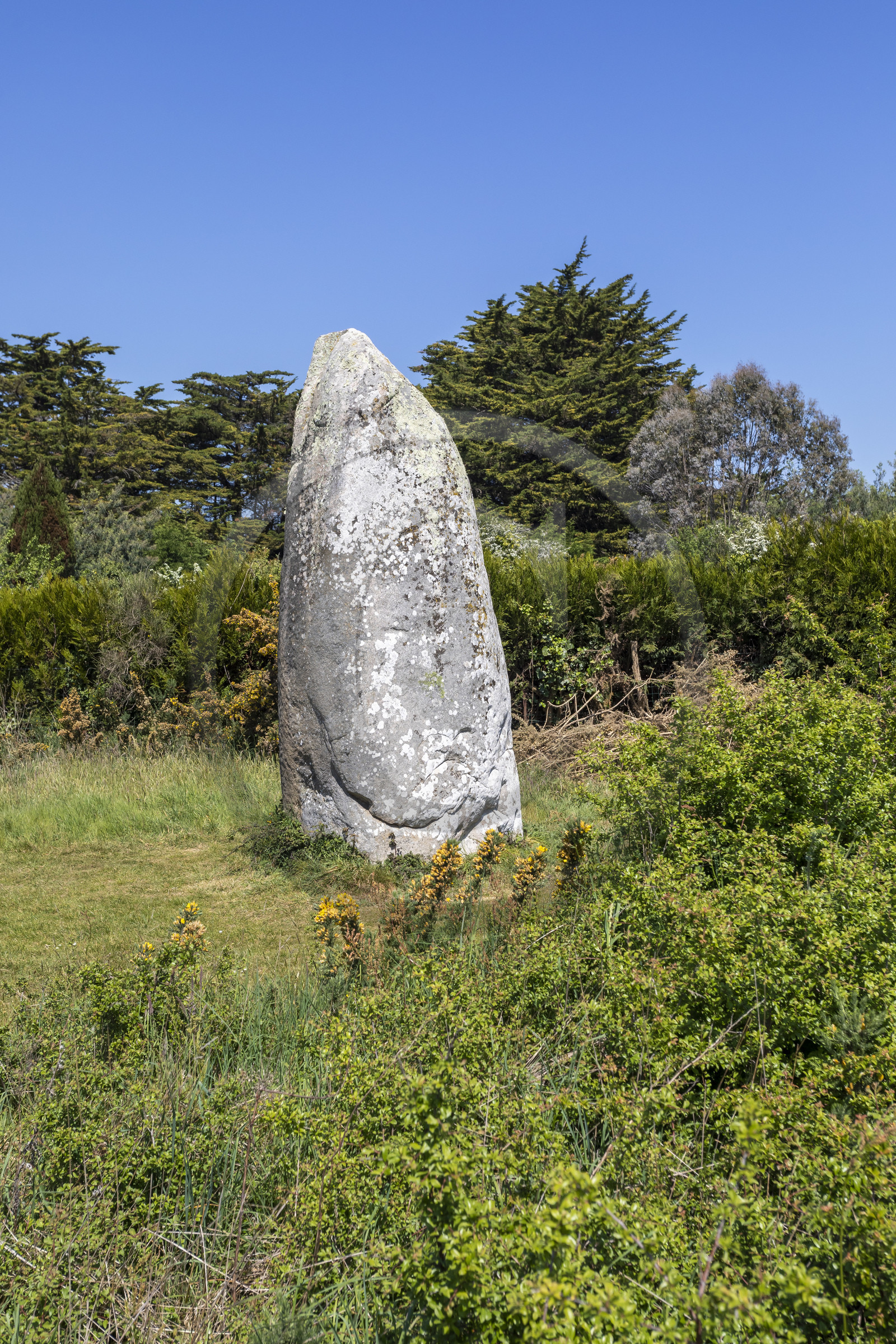 Le menhir de Kermaillard à Sarzeau