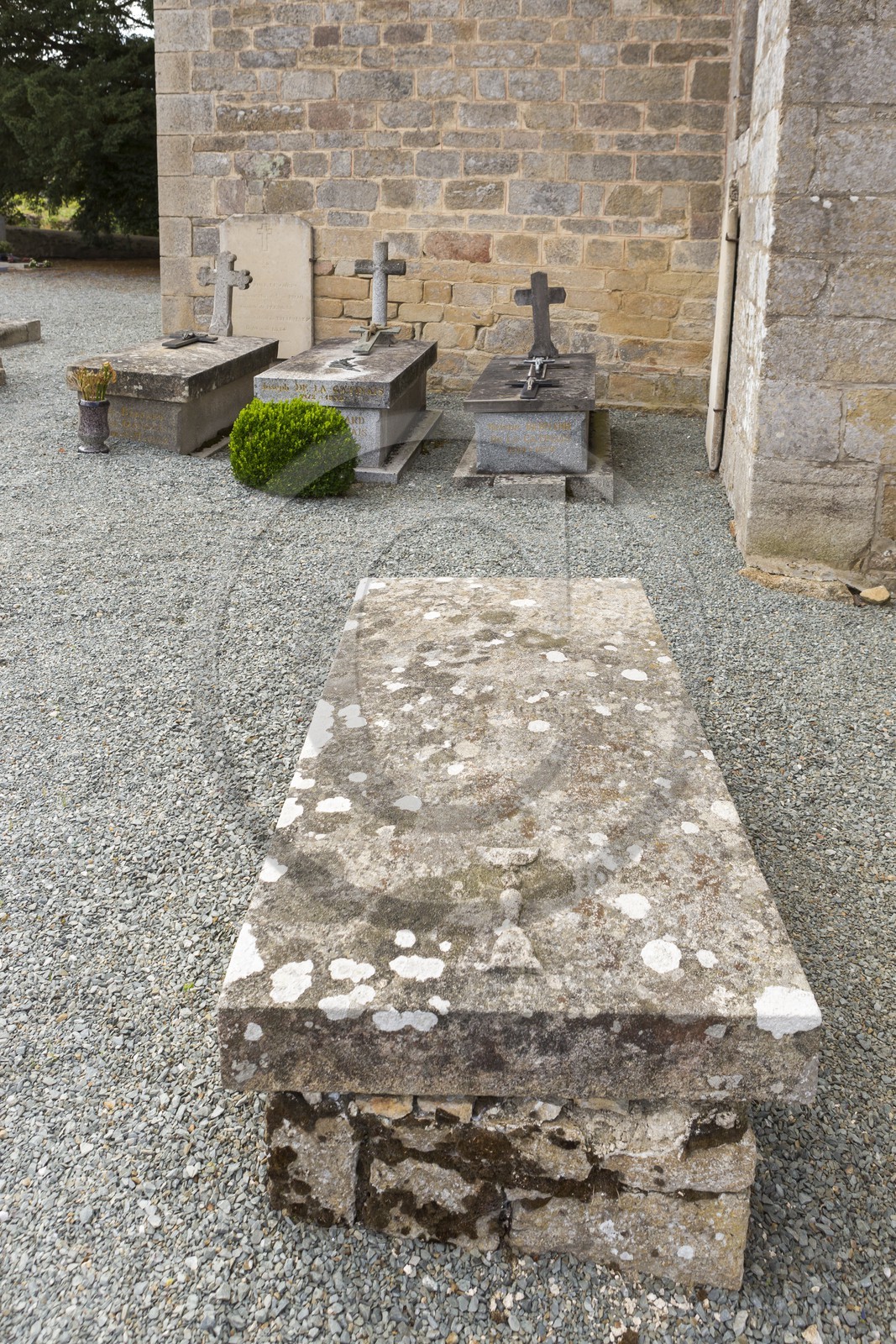 Eglise Saint Maudez _ Saint Maudez ( 22 )