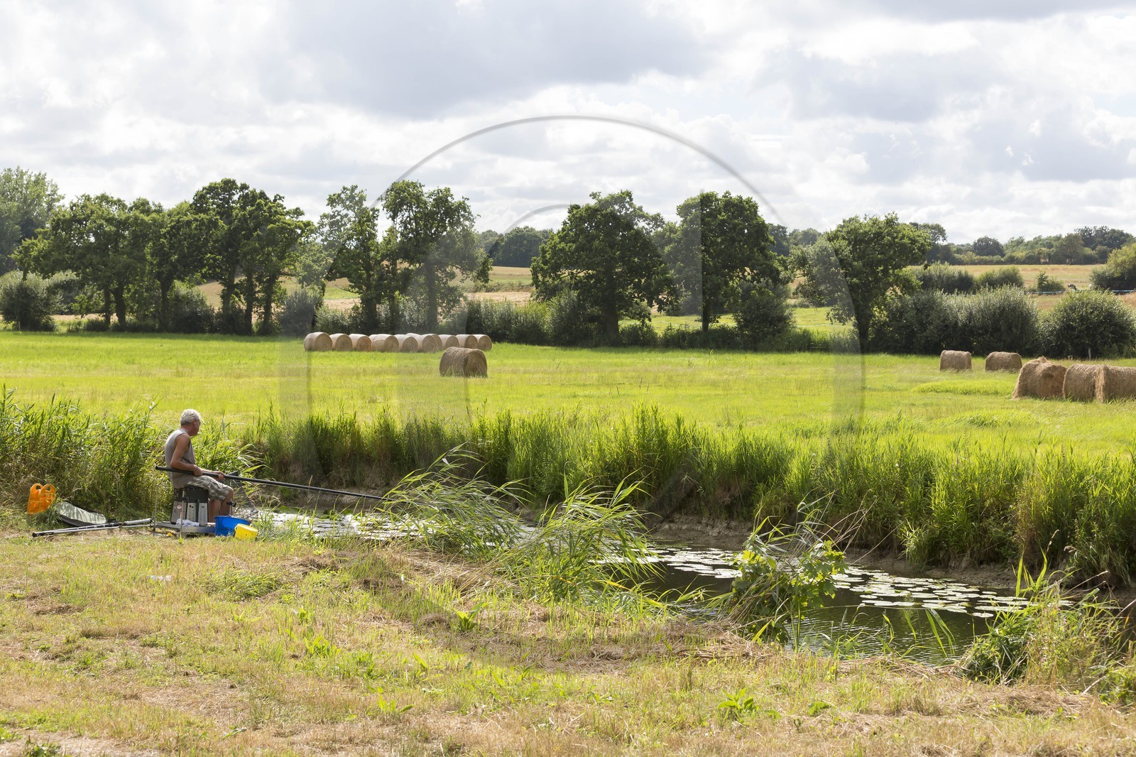 Le tertre de Brandefert à Plancoët
