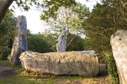 Alignements de Kerzerho _ Erdeven