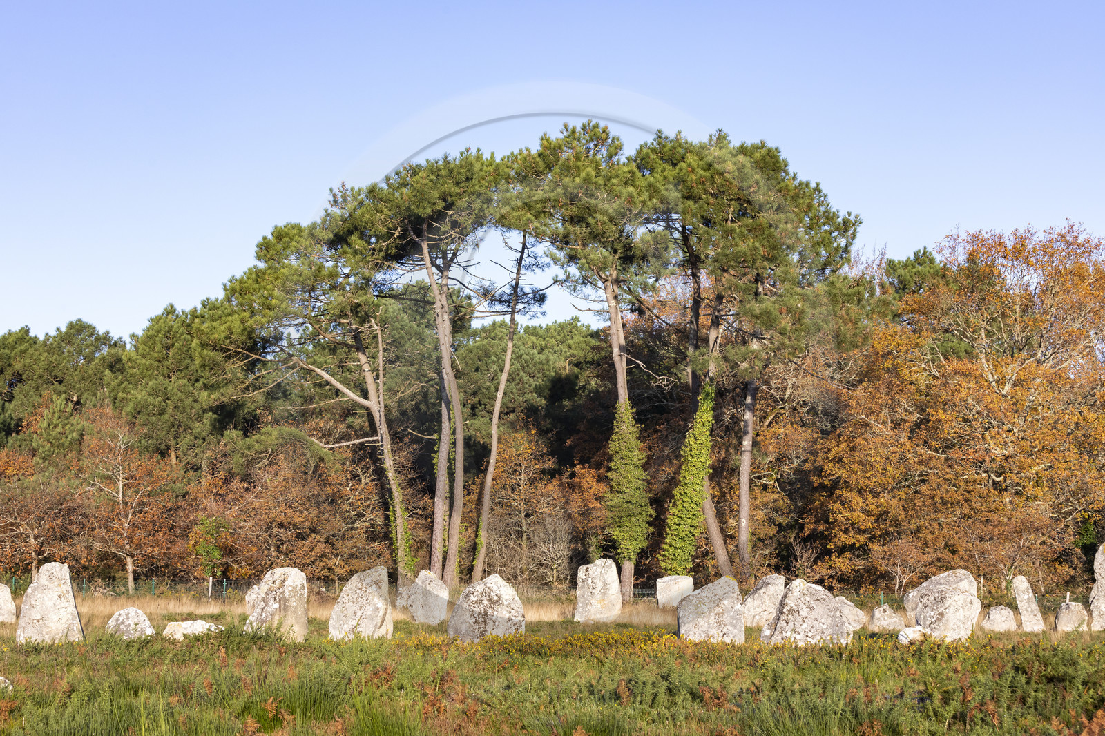 Alignement de Kermario_Carnac