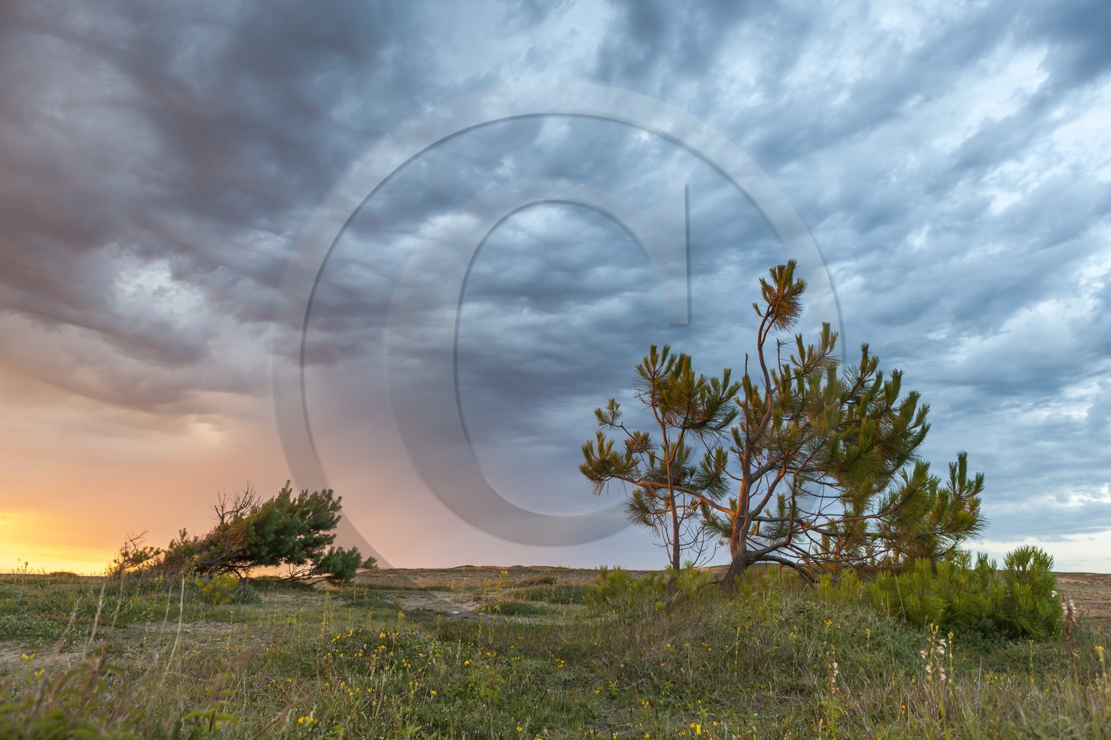 Grand site dunaire Gavres-Quiberon