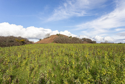 Tumulus de Tumiac à Arzon