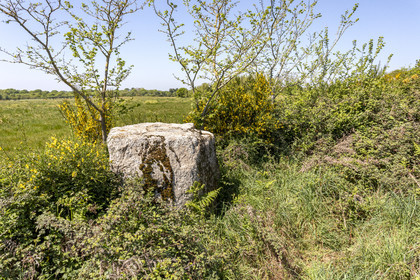 Menhir de Kerbigot à Sarzeau