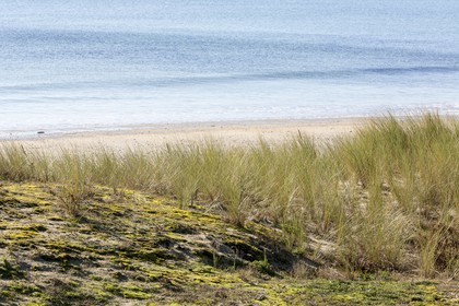 La plage de Kervillen_ La Trinite sur mer