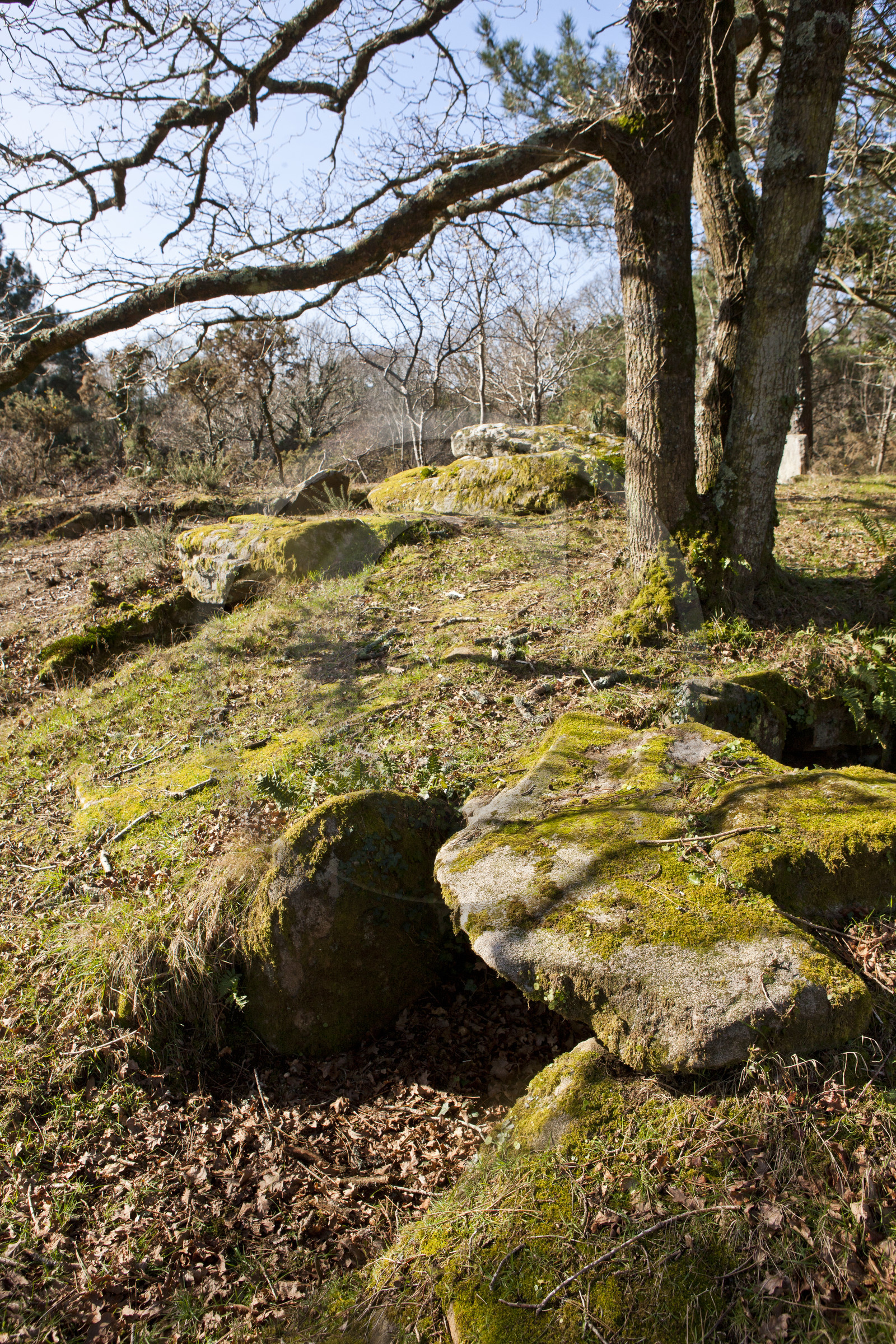 Dolmen de kervilor mane bras. La Trinite su Mer.