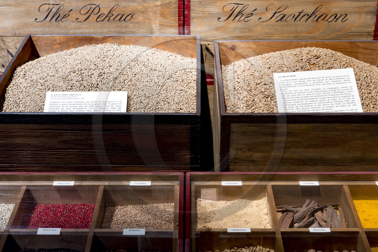 Musée de la compagnie des Indes _ Port-Louis