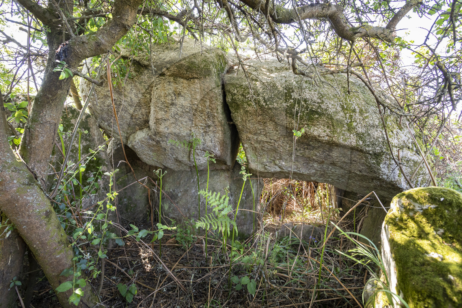 Allée couverte du Net _ Saint-Gildas-de-Rhuys