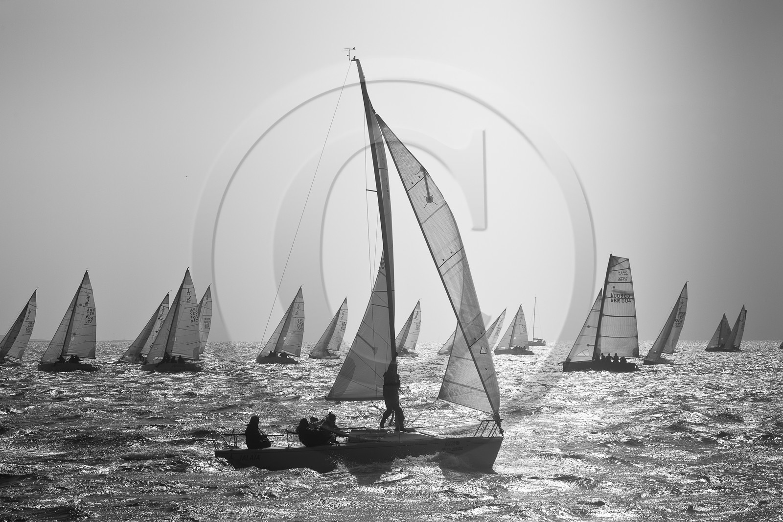 Spi Ouest-France _ La Trinite-sur-Mer