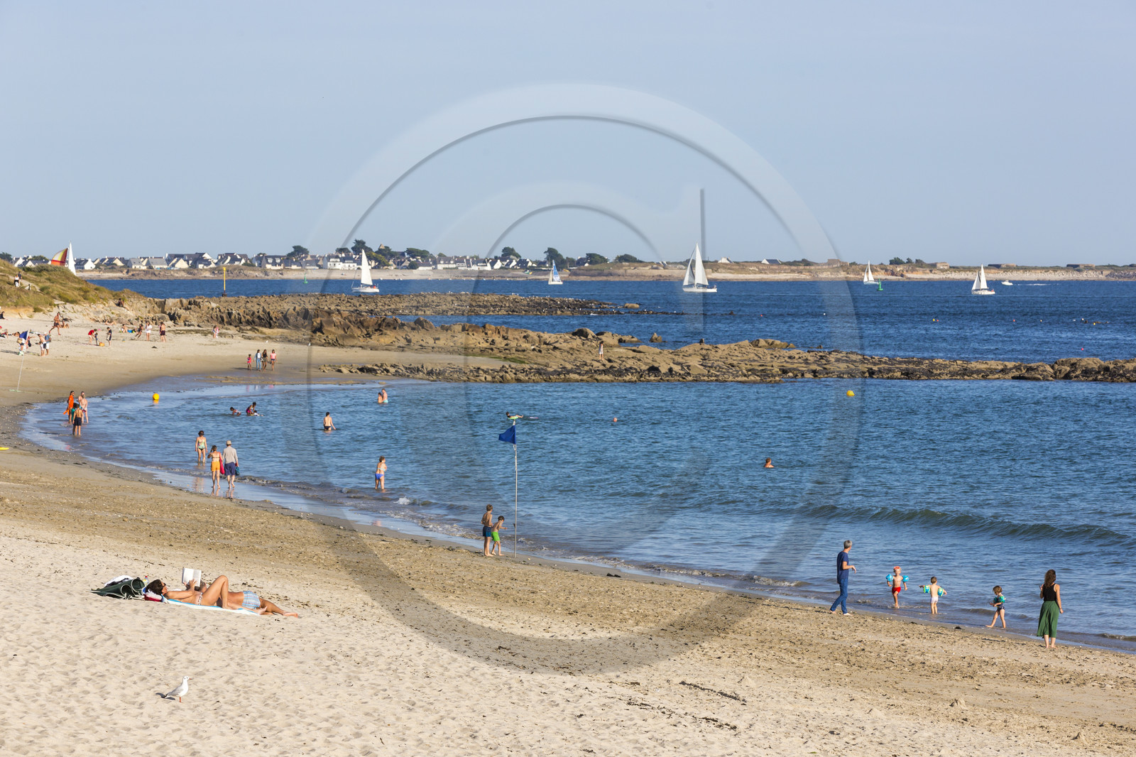 Plage de Kerguelen _ les roseaux à Larmor-Plage