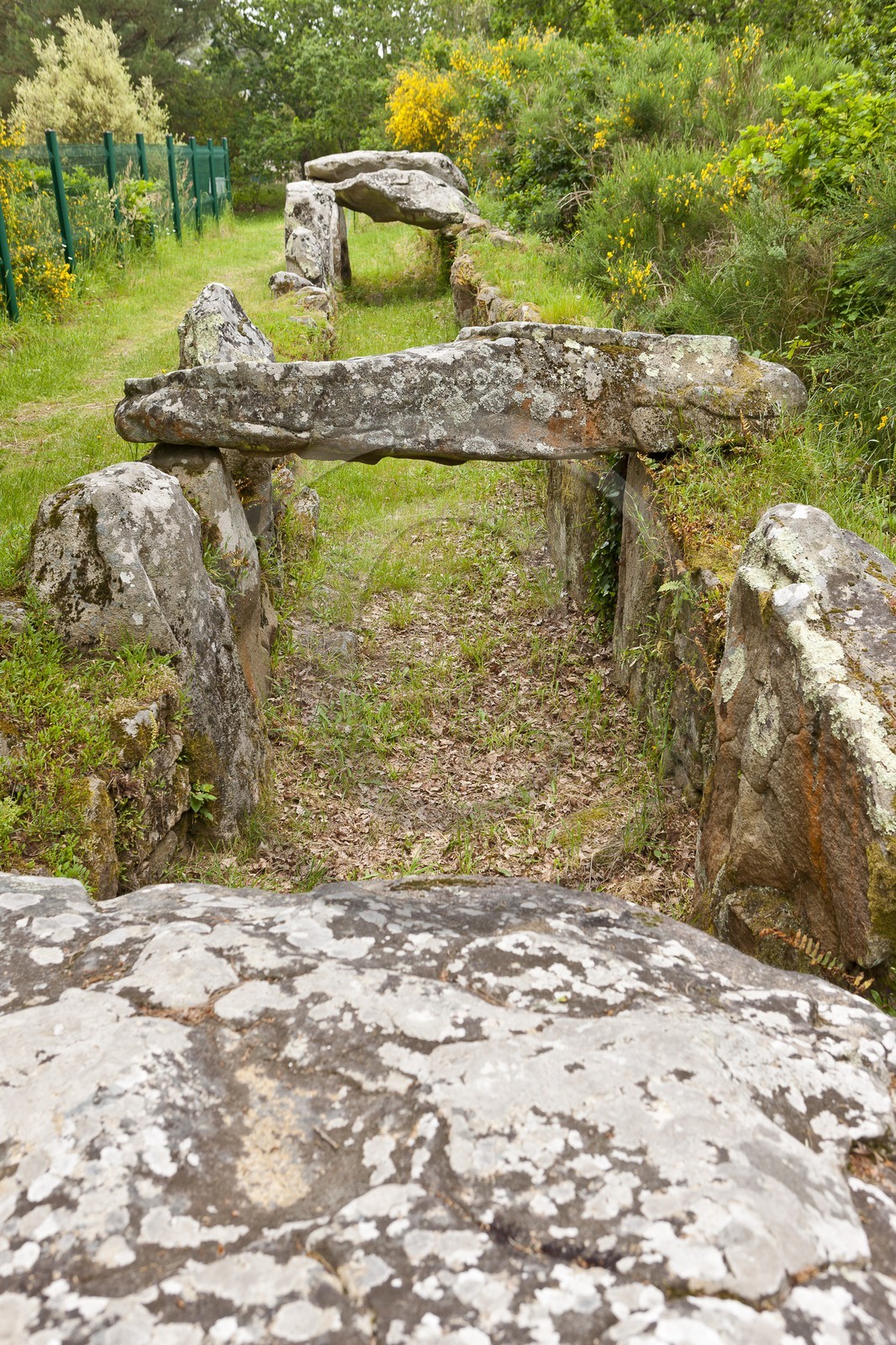 SITE ARCHEOLOGIQUE DE MANE ROULARDE _ LA TRINITE SUR MER