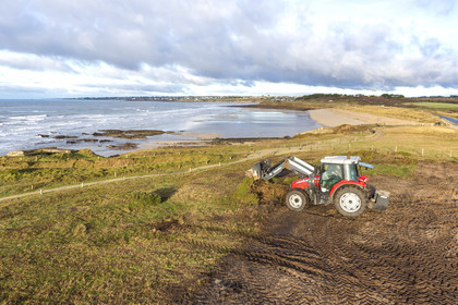 Dune grise _ Le Loch à Guidel
