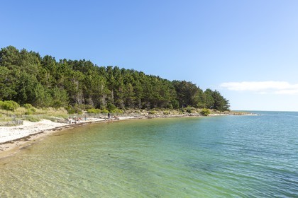La plage du Poulbert  _ La Trinite sur mer
