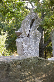 Alignements de Kerzerho _ Erdeven