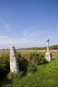 Stèle de Prostlon _ Locoal-Mendon