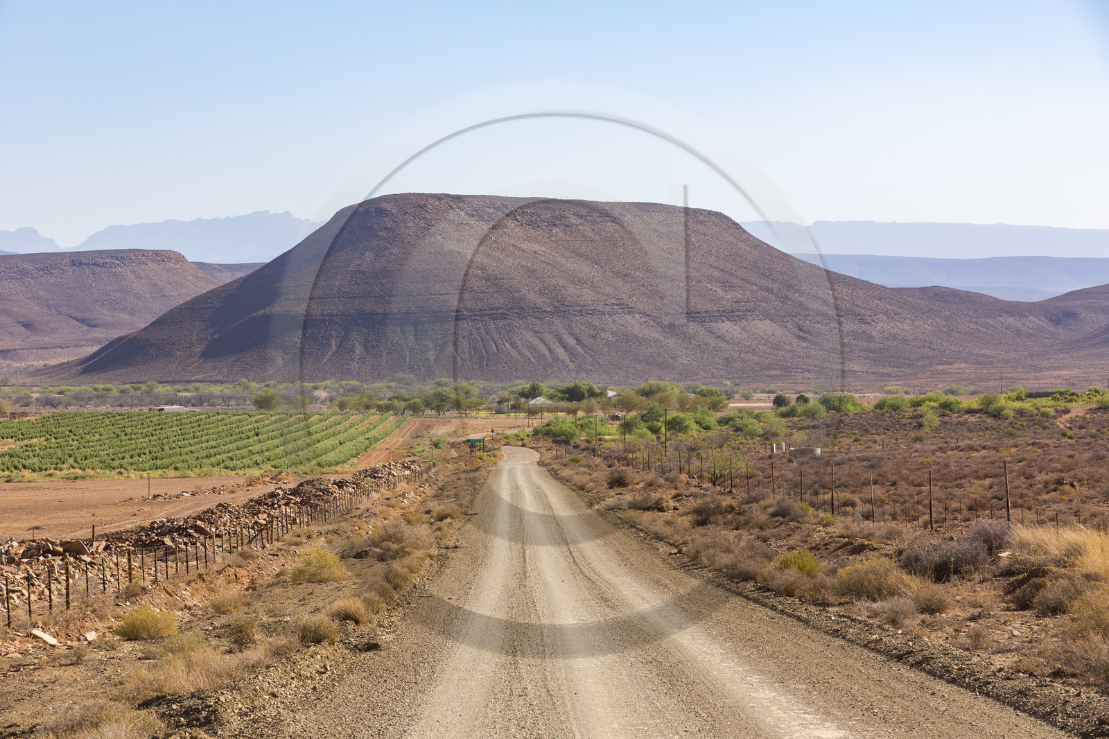 Cederberg _ Afrique du Sud