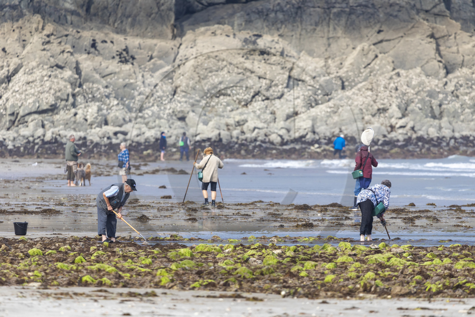Anse de Bréhec Plouézec-Plouha