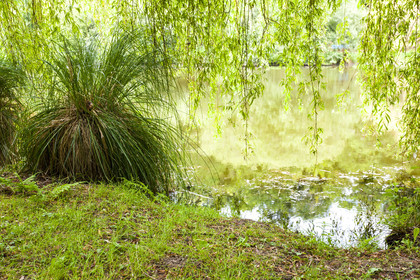 Etang de Kergoff à Caudan