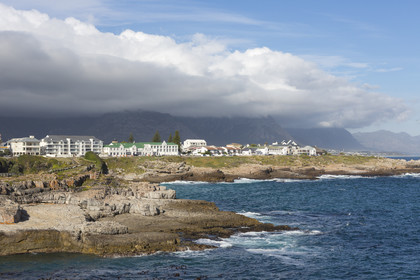 Paysage d'Hermanus _ Afrique du sud