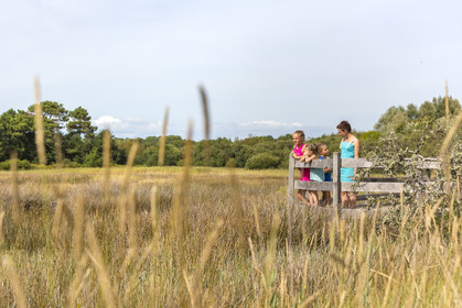 Le marais de Kerguelen à Larmor-Plage