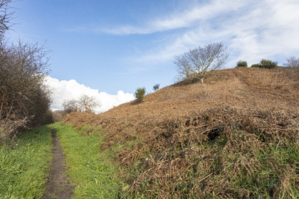 Tumulus de Tumiac à Arzon