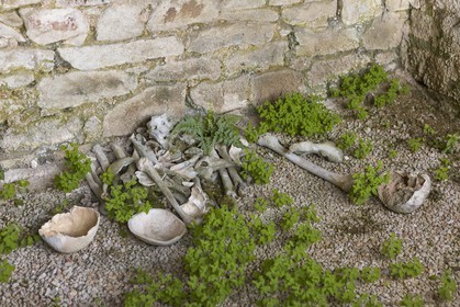 Ossuaire _ Plélan le petit