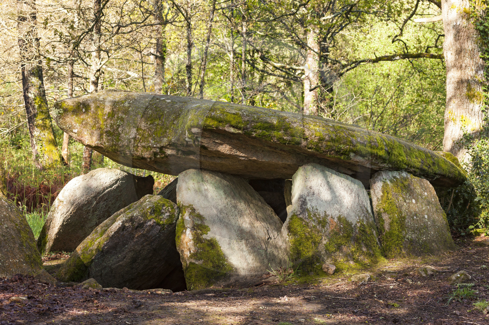 Le dolmen de la Loge au loup à Trédion