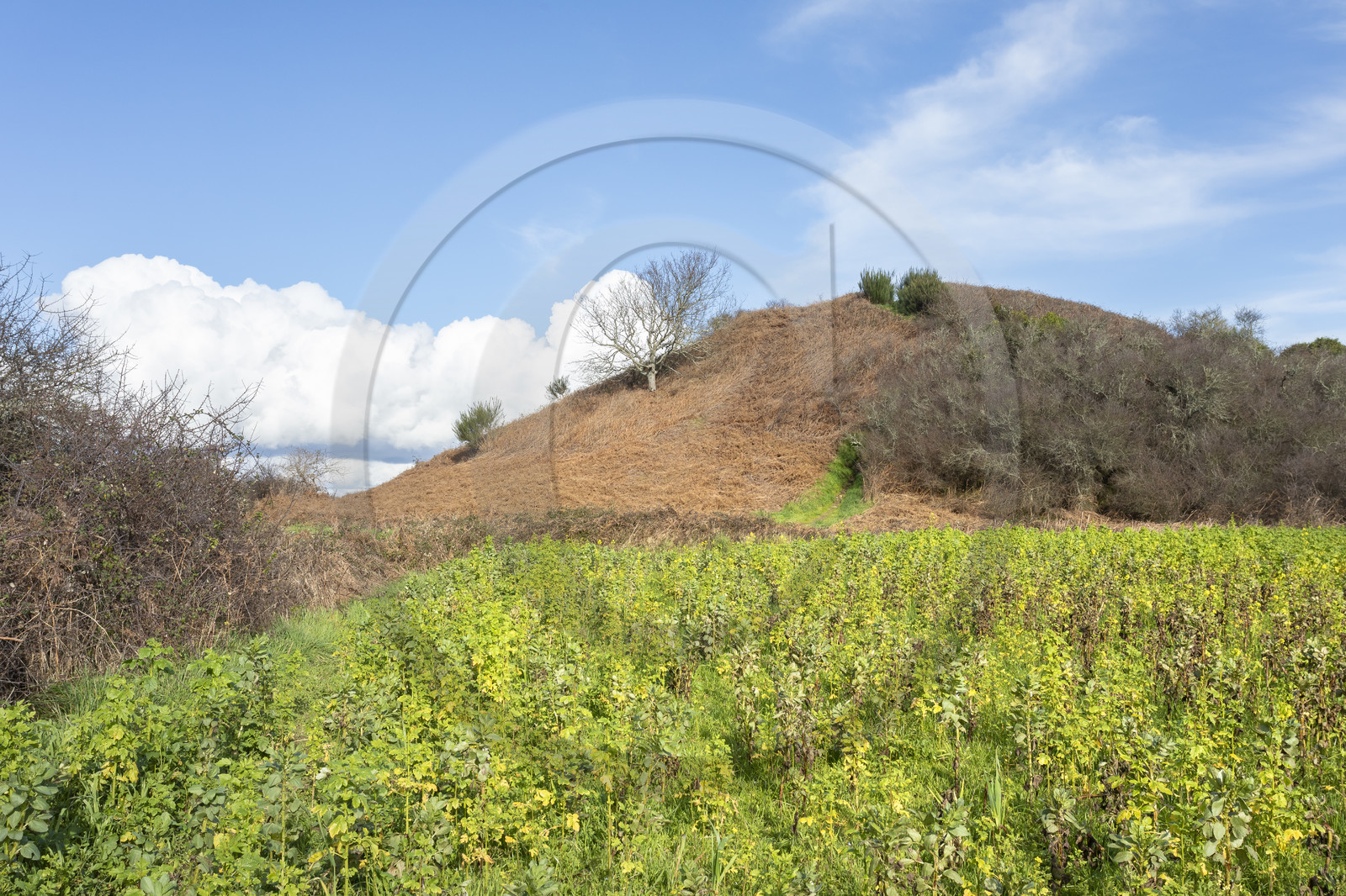 Tumulus de Tumiac à Arzon