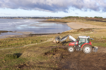 Dune grise _ Le Loch à Guidel
