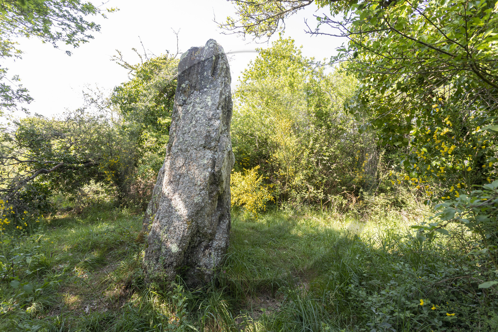 menhir de Men er Palud _ Saint-Gildas-de-Rhuys