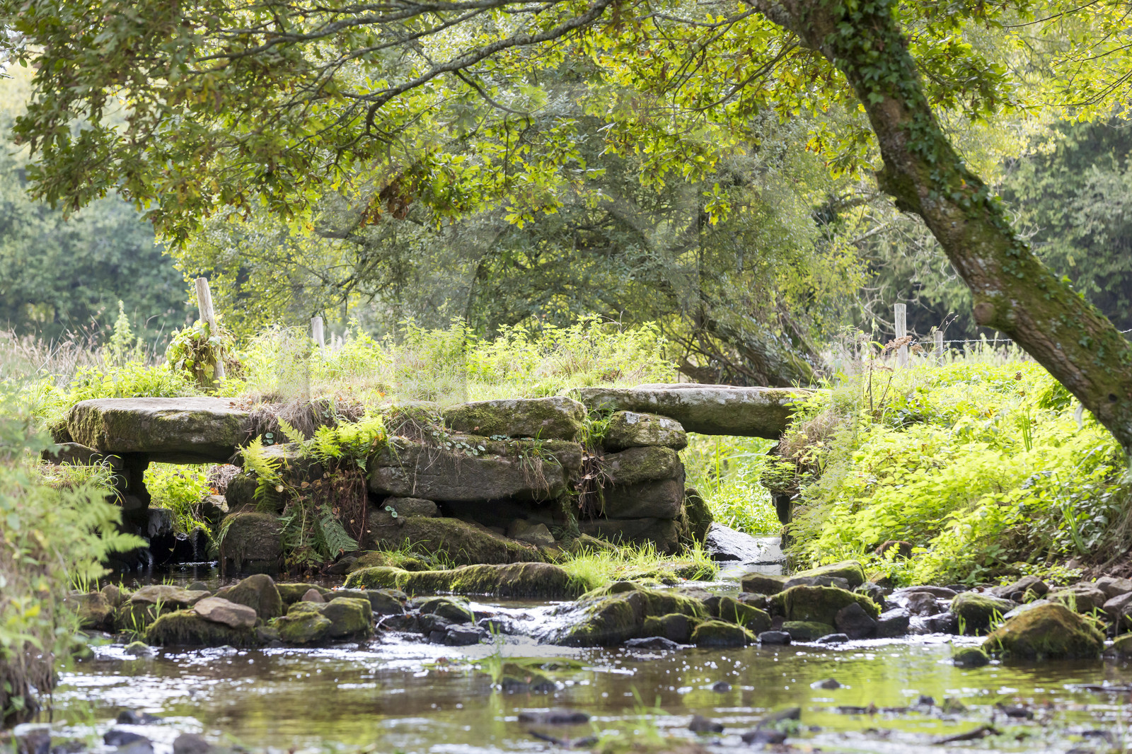 Ruisseau du Brandifout_Bubry