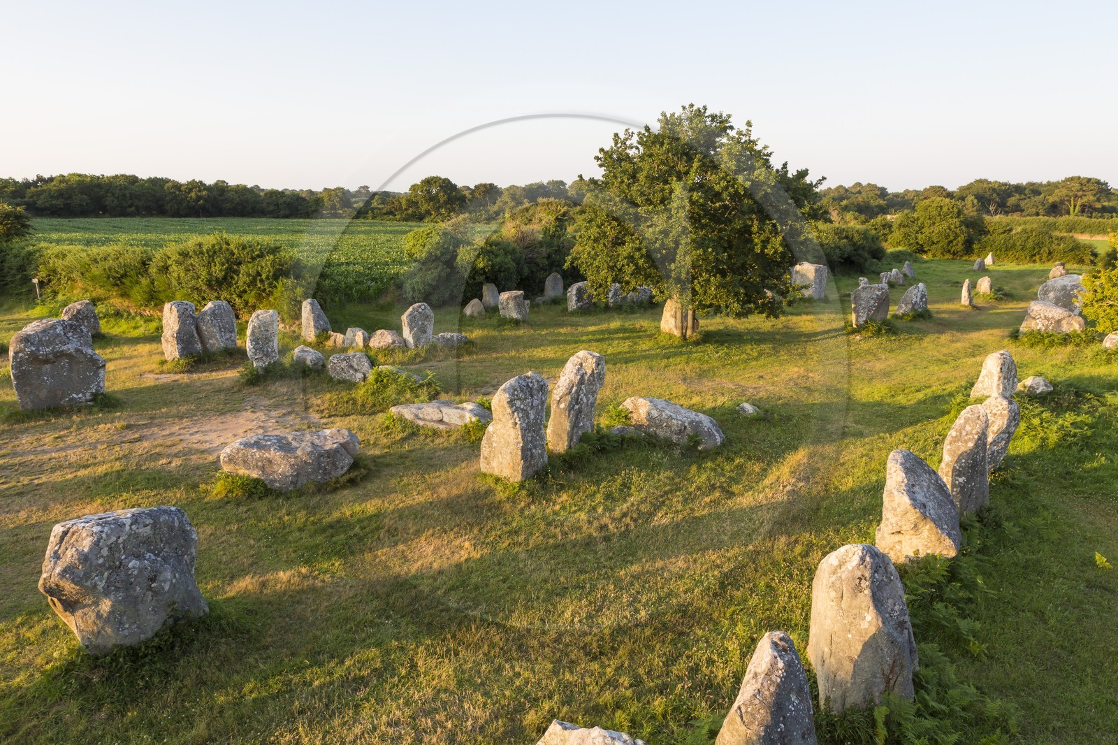 Alignements de Kerzerho _ Erdeven