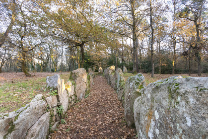 Allée couverte de Luffang Tal-er-Roch à Crach.