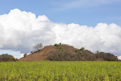 Tumulus de Tumiac à Arzon
