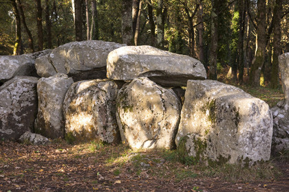 Le dolmen de Mané Groh _ Erdeven