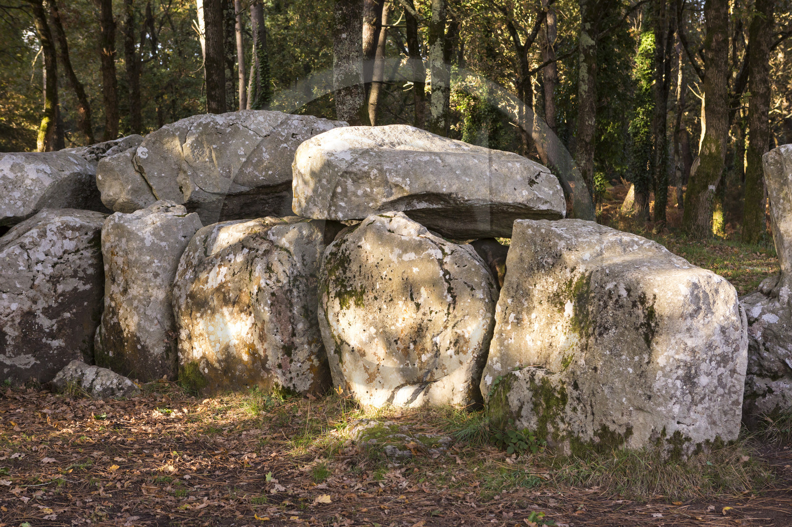 Le dolmen de Mané Groh _ Erdeven