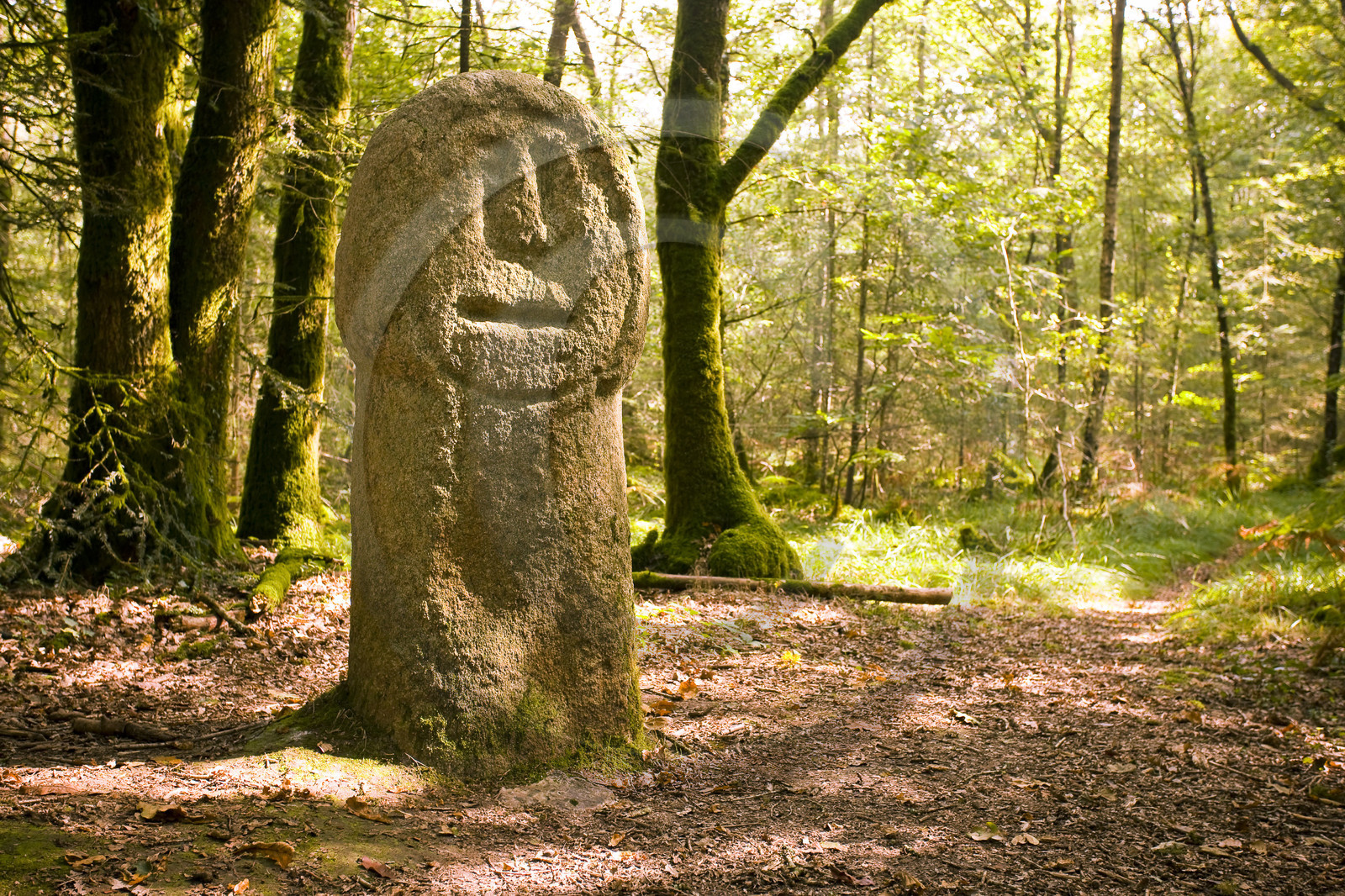 Menhir  de Babouin à Trédion